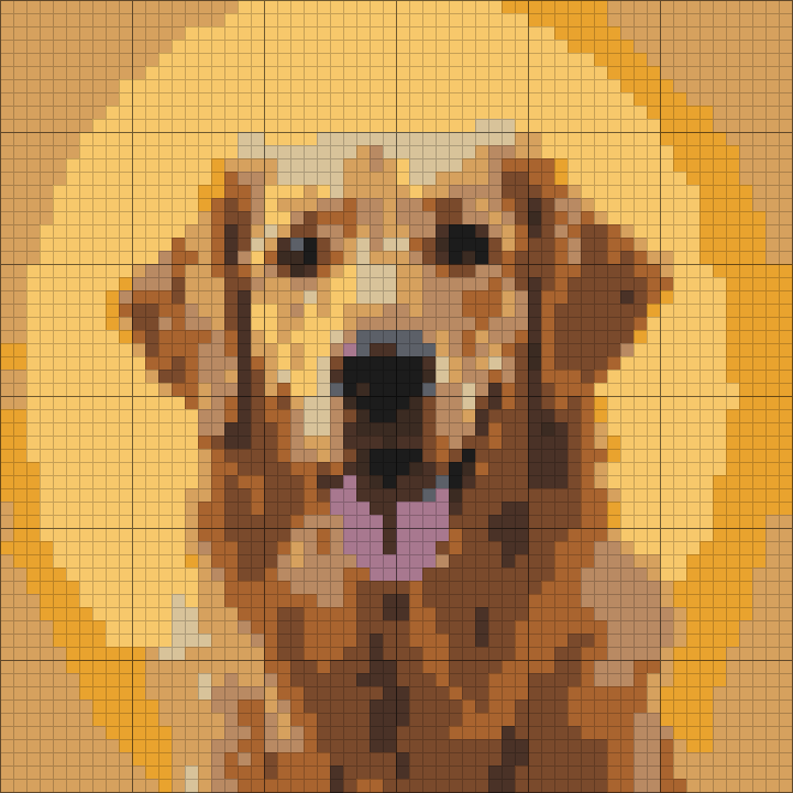 60 by 60 chart generated from the photo
