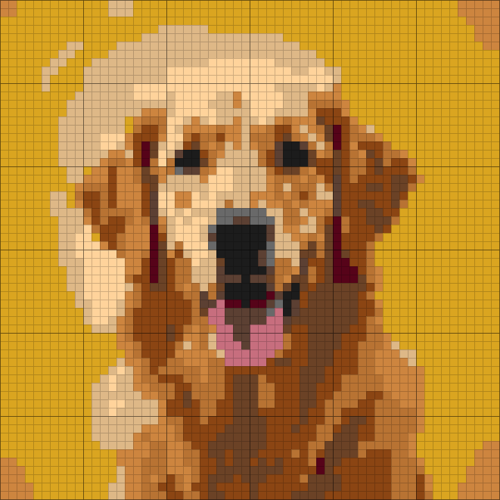 60 by 60 chart generated from the photo