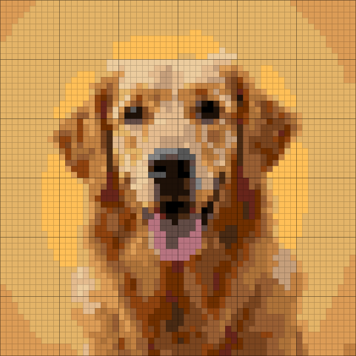 60 by 60 chart generated from the photo