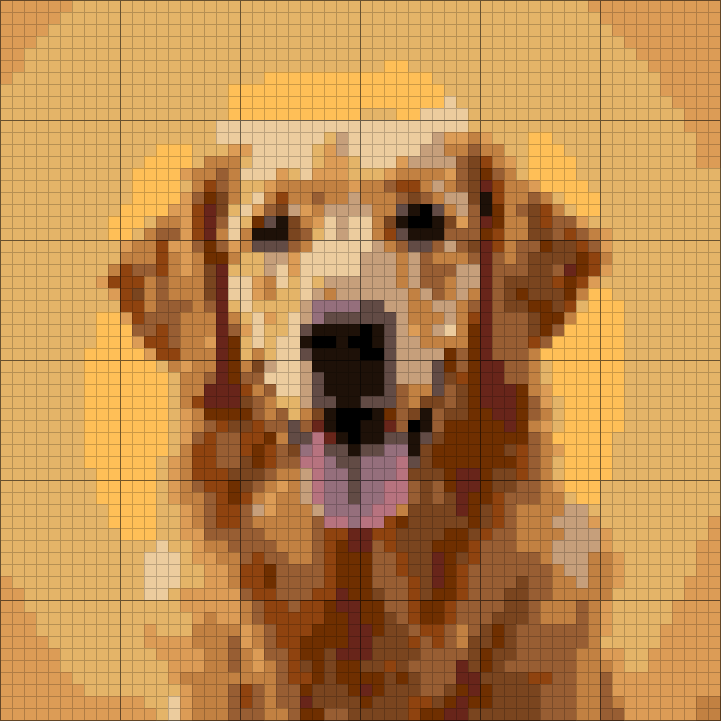 60 by 60 chart generated from the photo