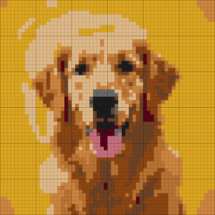 60 by 60 chart generated from the photo