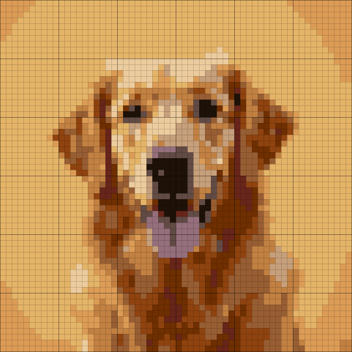 60 by 60 chart generated from the photo